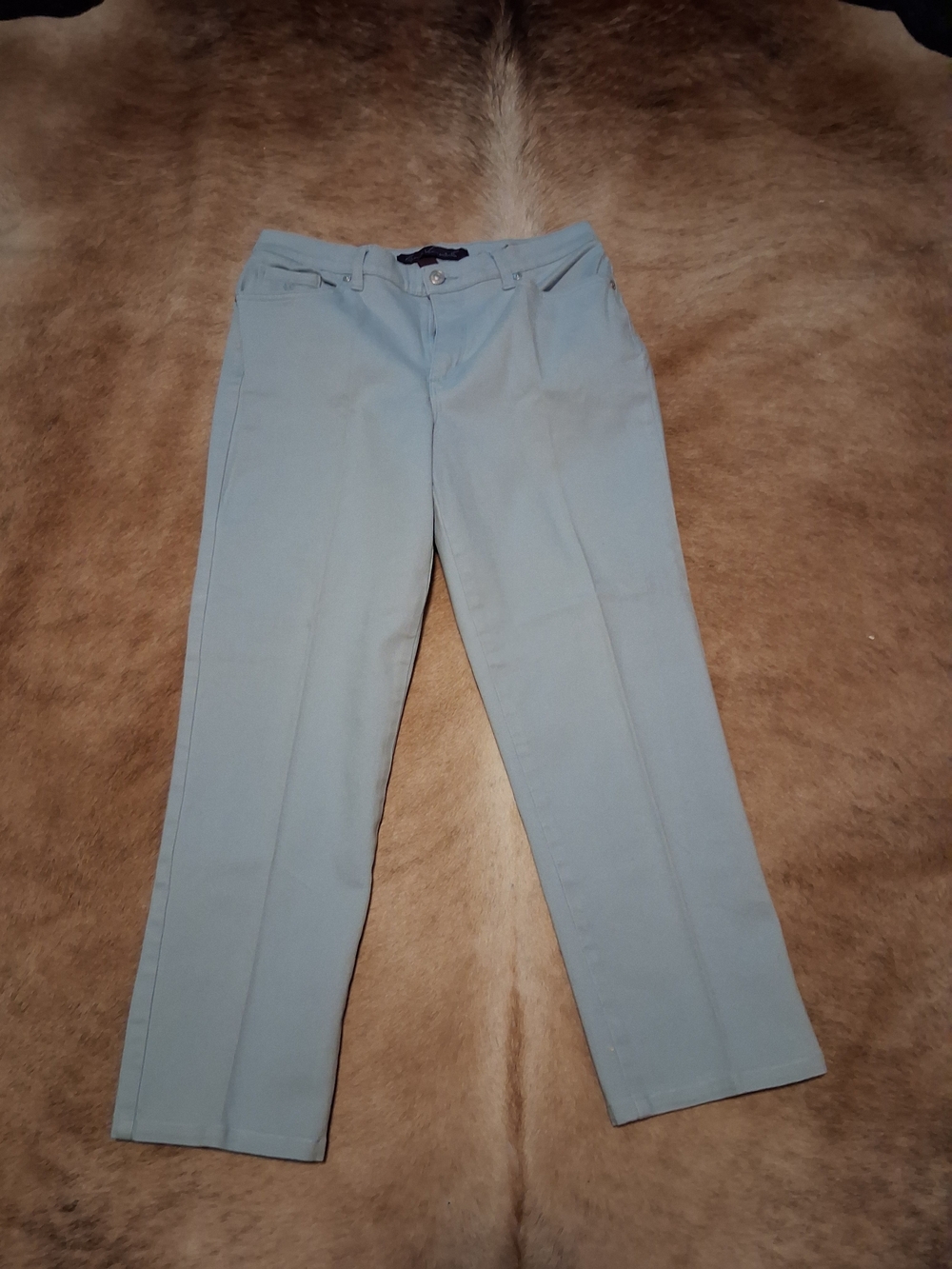 Gloria Vanderbilt Men's Chinos in Light Blue